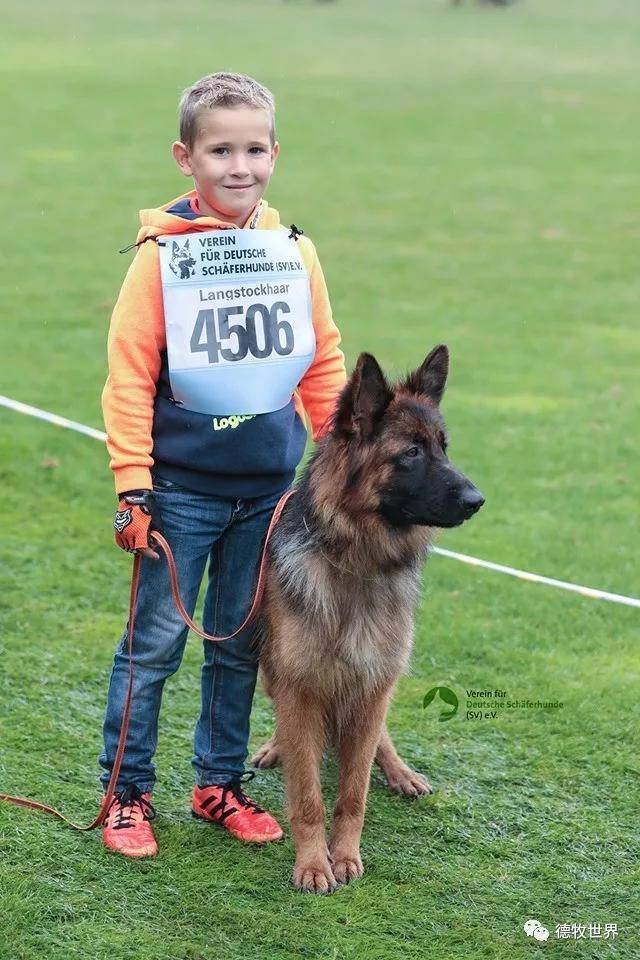 阿扎伦卡官方宣布锐不可当新规，阿森纳引发争议！赛场气氛高涨